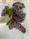 Organic Farm Grapes (8 oz)