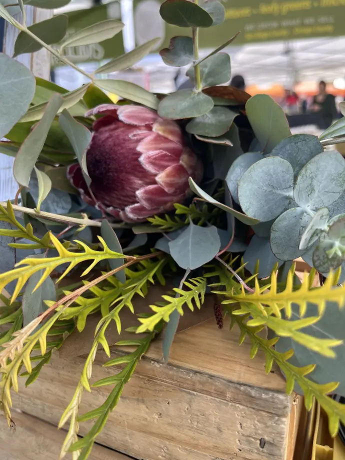 Protea Arrangement